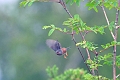 01 06 14_5319_edited-2